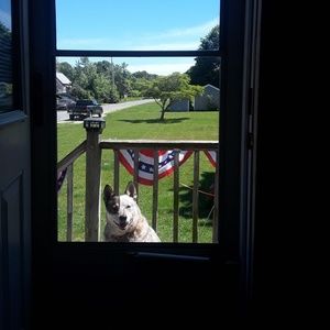 Meet your Posher, Wendy